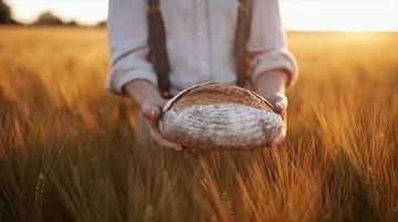 С 2026 года в России запускается федеральный проект «Развитие малого агробизнеса»