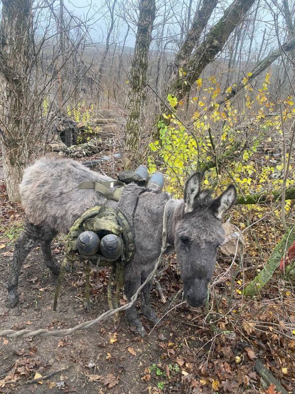 ��������� ���������: ������������, �������� � ���������: ��������� ����� �� ���������!