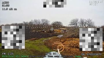 Запорожское направление. Район н.п.Степногорск