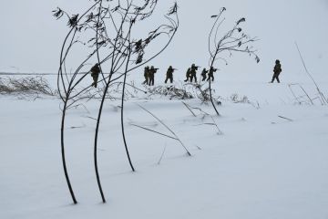 ��� ���������� ����� ������� ����� � ����������� �������