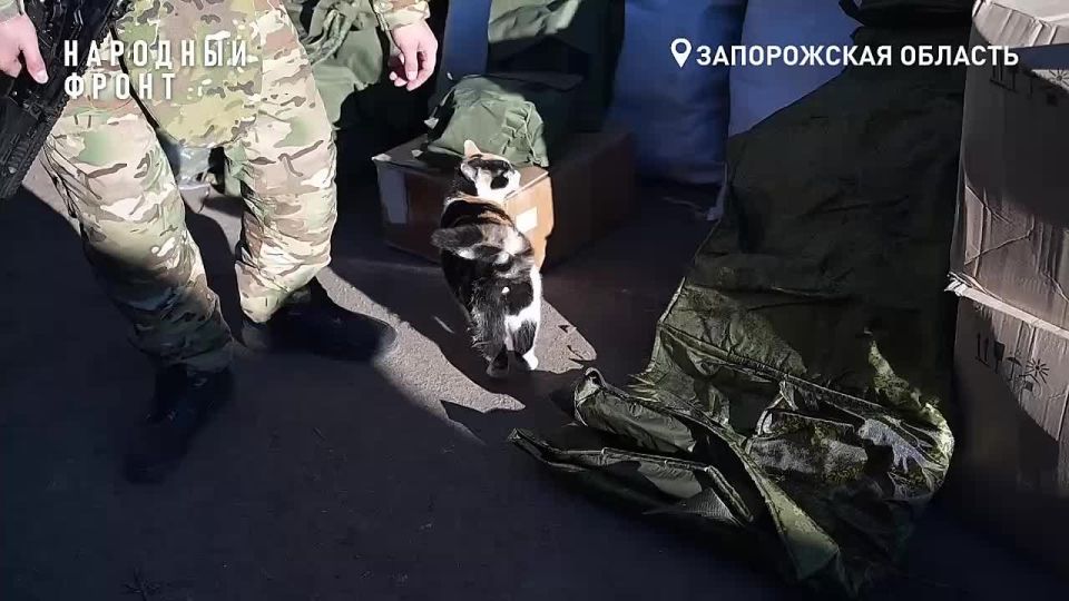 Народный фронт поддерживает подразделения на Запорожском направлении