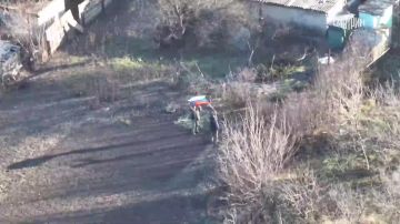 "��� ������ � ���� �������, ��� �����": ����� �������������� ������� ����������� "������" ����������, ��� ���������� ������� ������ ������� � ������ �������������� ���������