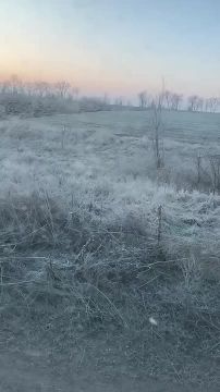 ������ �������� ������ ����������