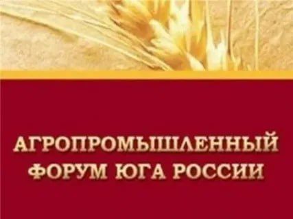 ���������������� ����� ��� ������