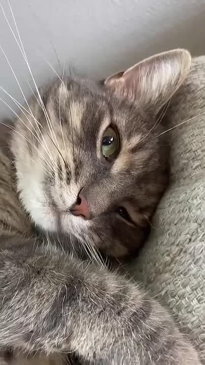 А вот и четверг. А вы готовы к новому рабочему дню? Подписывайтесь на Запорожский вестник в MAX, Telegram и ВКонтакте и делитесь с близкими