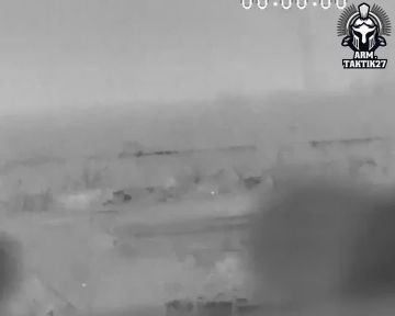 ������������ ��������� �� ��� (�������� 14 ����������� �������)