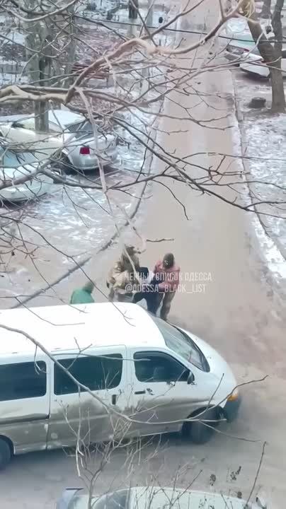 Утренняя упаковка в Одессе