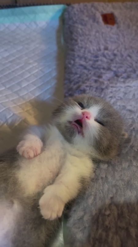 День подходит к завершению