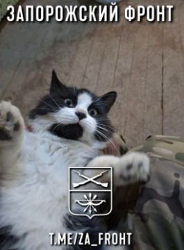 ���� ������� ���� � ������������ �����������