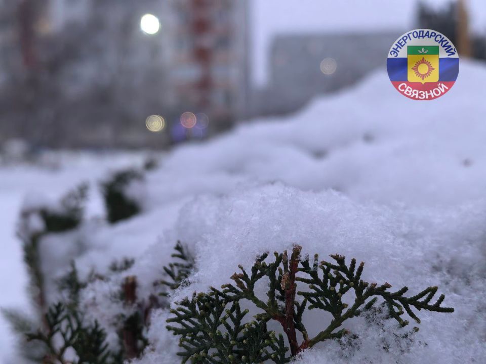 ��� ����� ���� ���������� ������� ����?