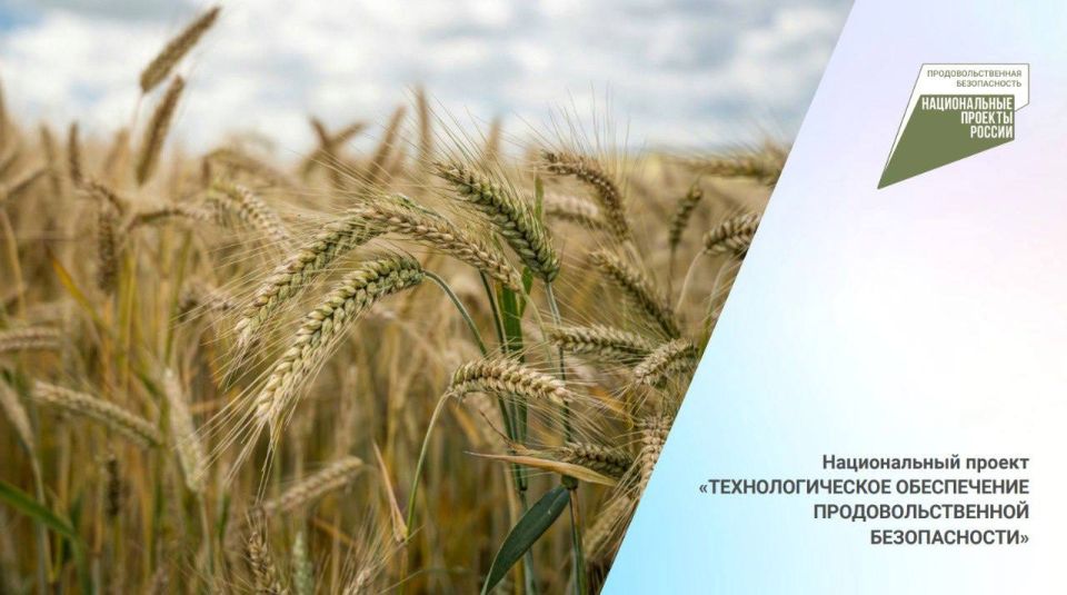 Итоги первого года реализации национального проекта «Технологическое обеспечение продовольственной безопасности»