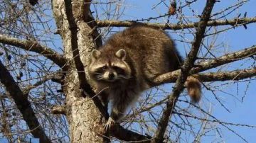 ������ ����, ������! �������� ��� ��� � ��������� ����������!