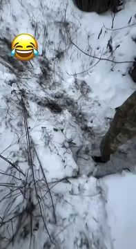 � ��������, ����������� �������!