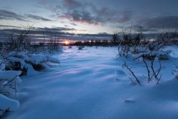 ������ ����. � �� �����, ��� �������