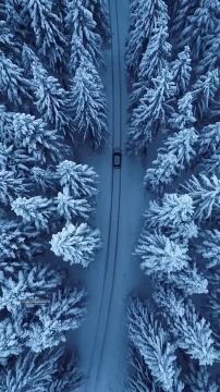 ������ ����! ������ ����� ����� ���� � ����� �����������!