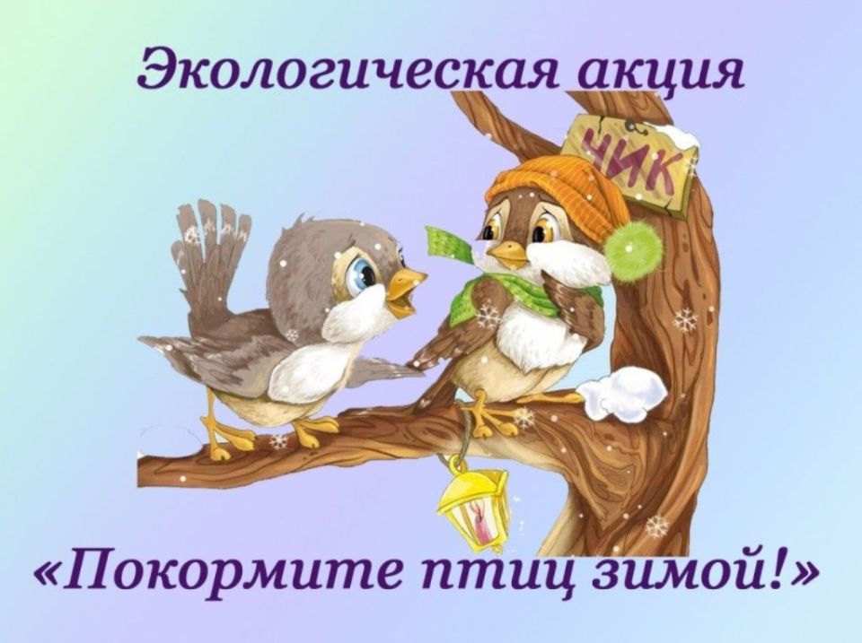 Птичья столовая на открытом воздухе!