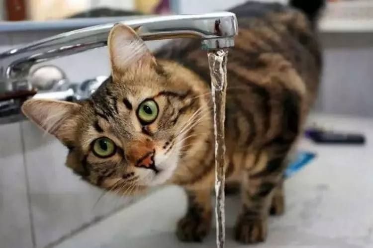 Анна Хорошун: Филиал "Бердянское ПУВКХ " ГУП ЗО "Вода Запорожья" информирует: