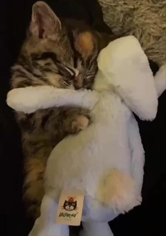 � ��� � �����. ���������� ������������ � ��������