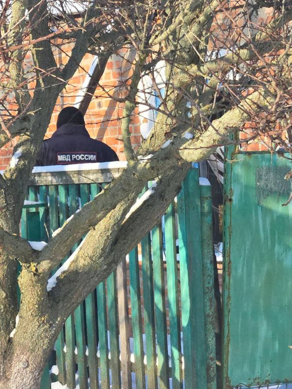 Сотрудники отделов администрации Приморского муниципалитета отрабатывают сообщения, приходящие в наш чат-бот касаемо жителей, нуждающихся в помощи