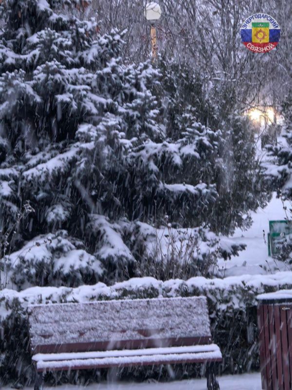 ������ ����. ����� ������� ����� ������, ��������� � ����� ����, �����