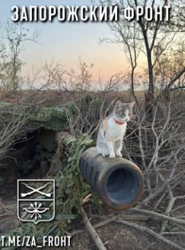 ���� ������� ���� � ������������ �����������