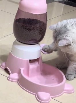 ������� ������� ������. ������ ������� � � ��������, ������ �� ������