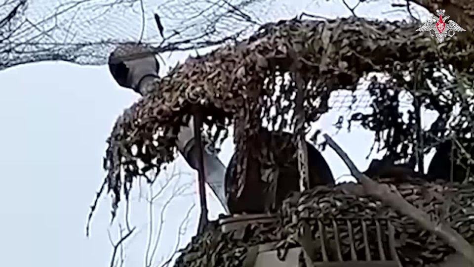 Минобороны России: Расчёты самоходных артиллерийских установок «Гвоздика» группировки «Восток» нанесли удар по пунктам управления БПЛА противника, оборудованным в лесополосах на территории Запорожской области