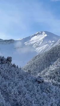 �������� ��� � ������ ������ ������ ���������