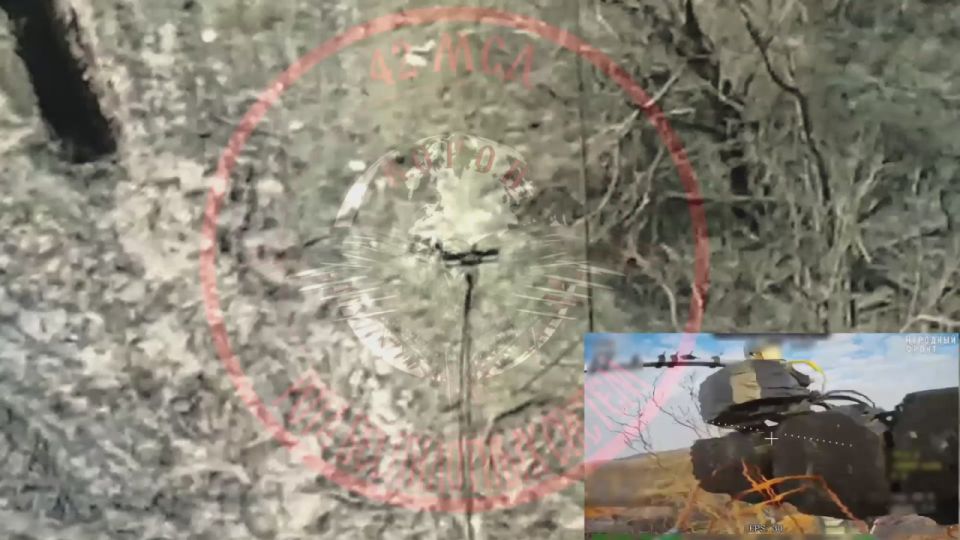 ����������� �����. ���������� �����������