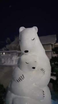 ����� ����: ���� ����, ������� ��������� ����������� ������������ ������ ����