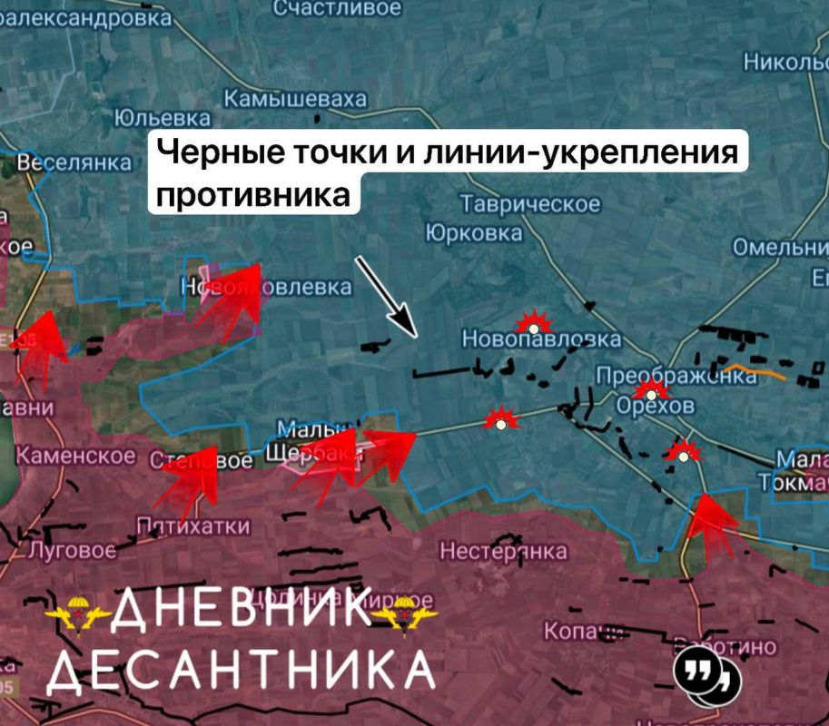 Запорожское направление. Участок Степовое - Малые Щербаки Доблестные десантники вновь наступают на данном участке