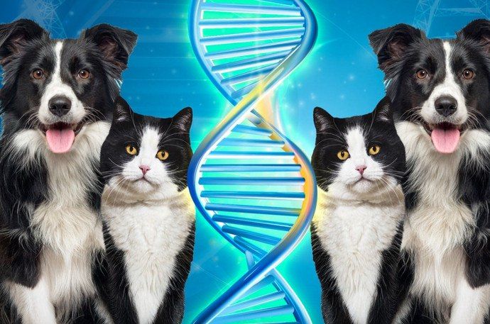 ���������� ������������ �������� �������� ������ ��������� � ��������