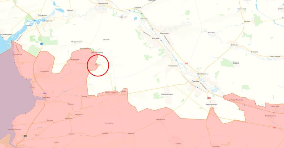 Минобороны России заявило об освобождении населённых пунктов Павловка в Запорожской области и Новопавловка в ДНР