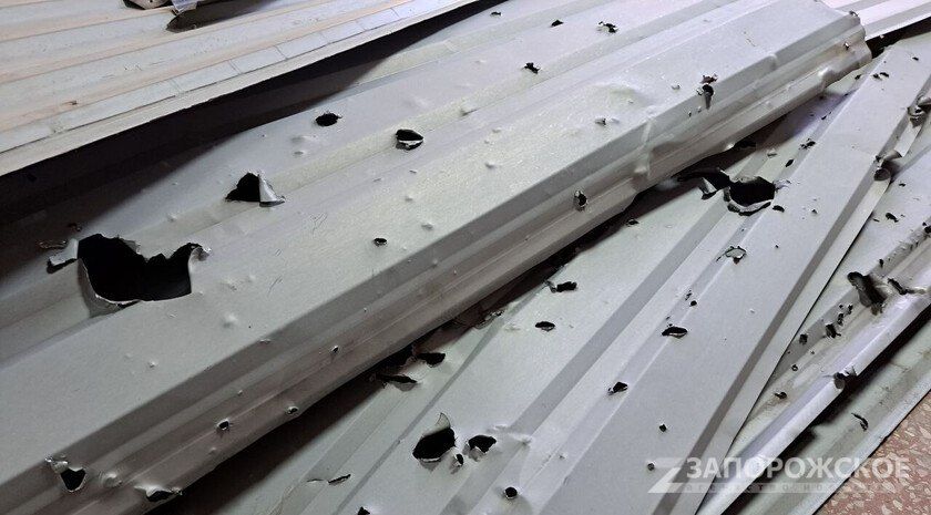 ��� ��������� ����� � �������-�����������