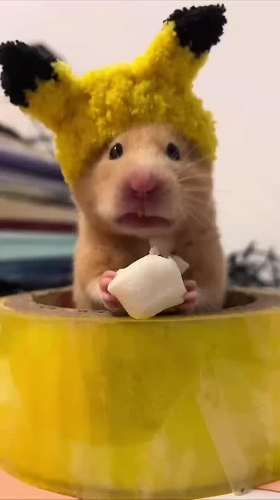 Вот и утро понедельника. Плотненько завтракаем и спешим на работу