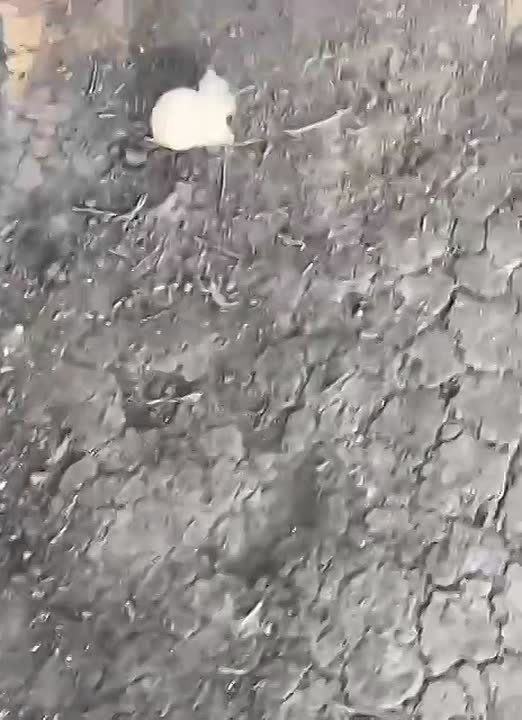 ������ ���� ��������, ����������� �������!