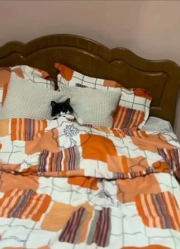 ���� �������� � ����������