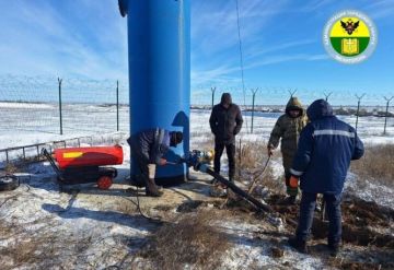 ����� ��������������� ������ ������ ��������: � ������ ������������ ������ �� �������������� ����� �����������