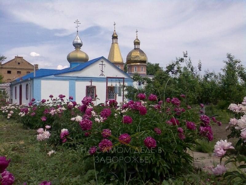 ��� ������������ �����-������-������������ ������� ��������� � ����������� �������