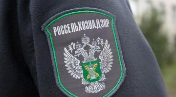 � ����������� ������� �� 2025 ��� ���������� ����� 800 ���������� � �����������������