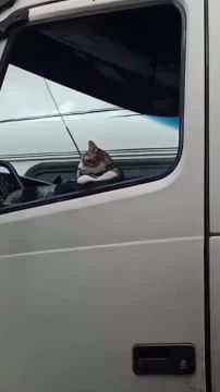 � ��� � ����� ����. ������� � �� �������� �� ������