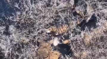 ���������� �����������.. ������ ���������� ������� ������ 4-� ������� ���� �� ��������� � �������� ��� � ������ ��.������ ������������