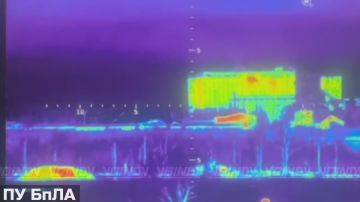 ������ ���� 14 ������� �������� ��������� �� ������ ���������� ���� ��� �� ������������� �����������