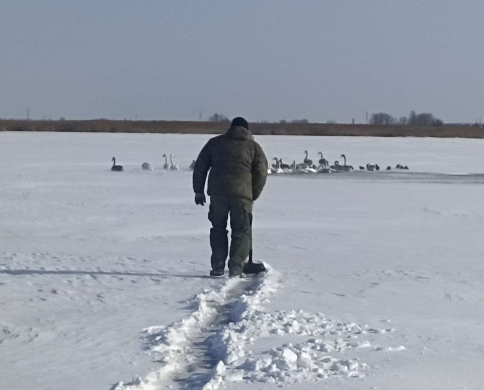 ������������� ��������� ������� ������� �� ��������� ������� � �.�������