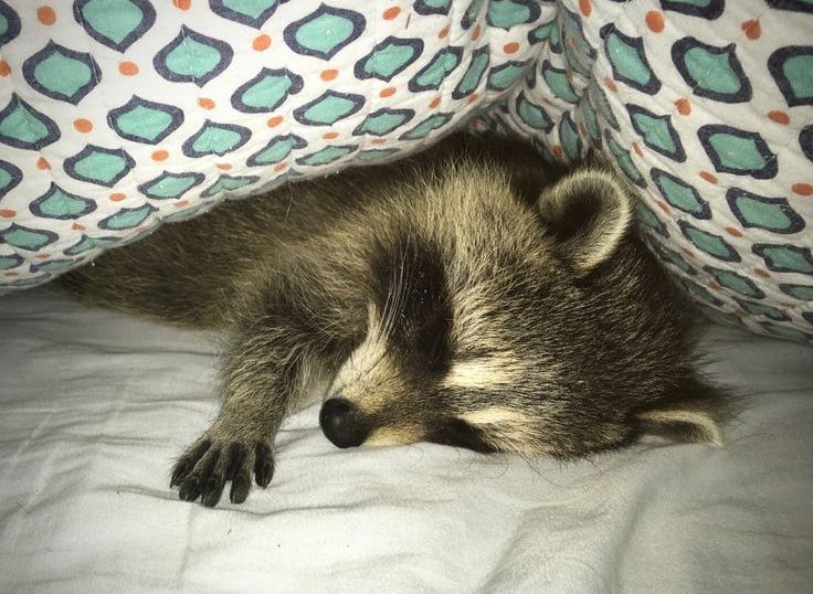 ������ ����, ������� ����������! ������ ����, ���������!