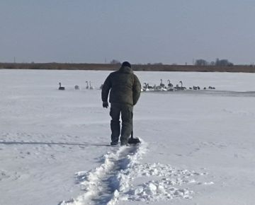 ������������� ������ ������� ������� �� ���������������� � �.�������