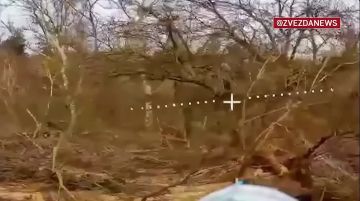 FPV-����� ���������� ���������� ������� � ����������� �������