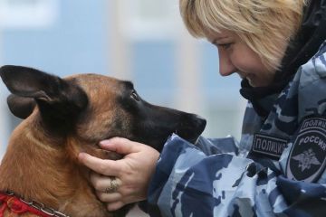 ��� ������� ����� �������������� ���������� ��������