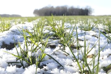 ��� ������� �������� ������� �������� �� ��������� ������ ������� � ����������� �������?