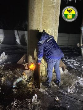 ������ ��������: ������ �� �������������� �������������